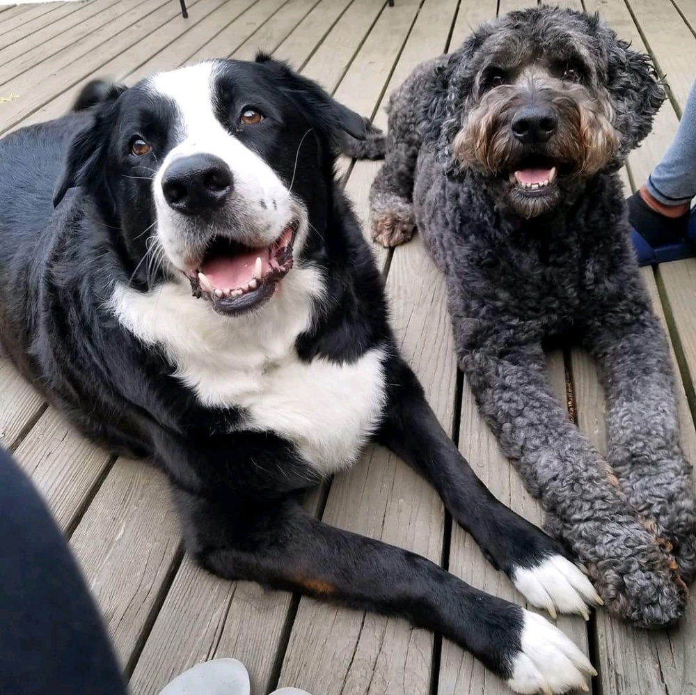 Meet your Posher, Debra